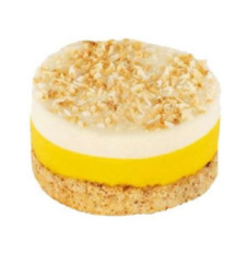 Coconut Mango Mousse Cake