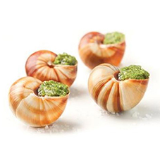 Escargots Lucorum in Shell w/Butter Bulk